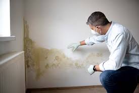 Best Real Estate Mold Inspection  in Dublin, TX